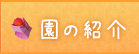 園の紹介とアクセス