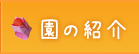 園の紹介とアクセス