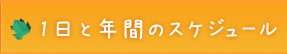 1日と年間のスケジュール